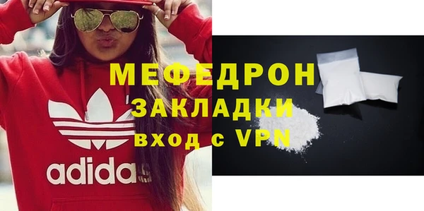 мдпв Инсар