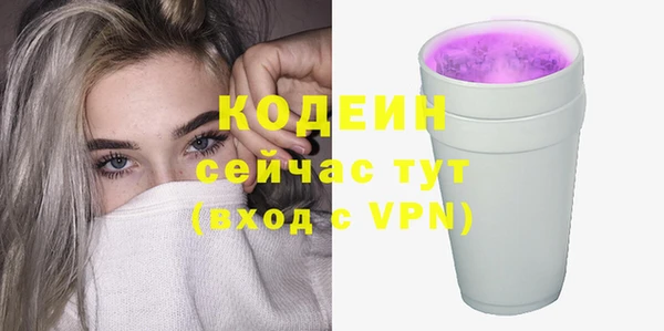 мдпв Инсар
