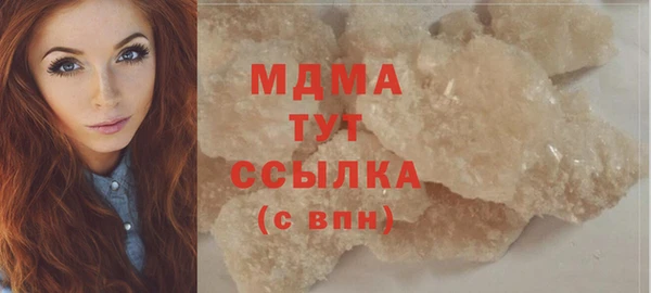 мдпв Инсар