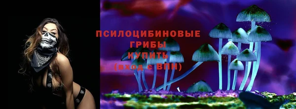 мдпв Инсар