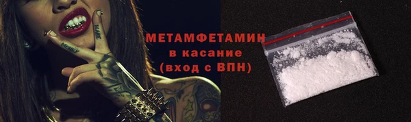 мдпв Инсар