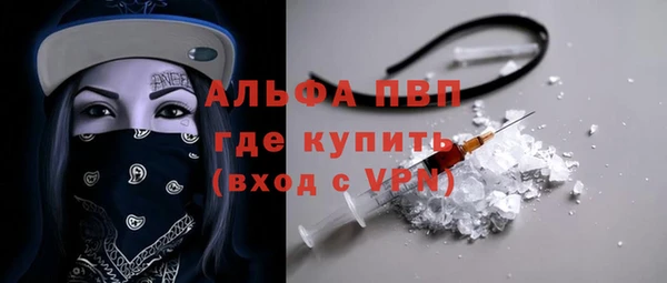 мдпв Инсар