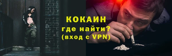 дмт Инта