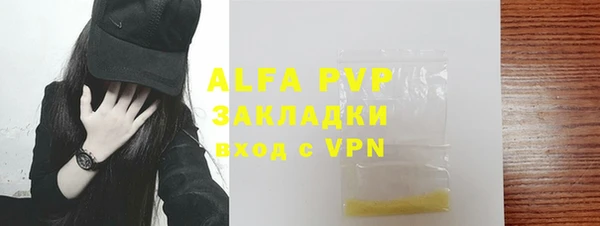 мдпв Инсар