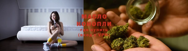 дмт Инта