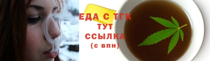 мдпв Инсар