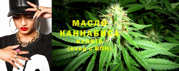 мдпв Инсар