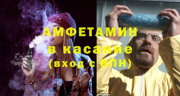 мдпв Инсар
