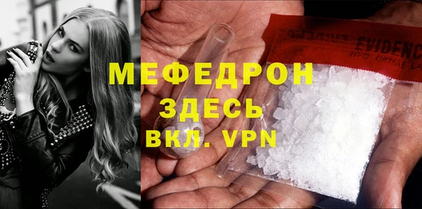 мдпв Инсар
