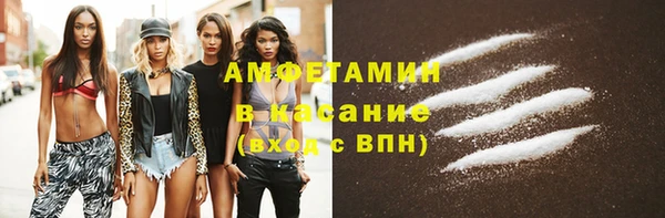 мдпв Инсар