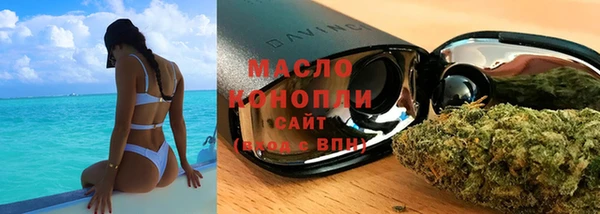 мдпв Инсар