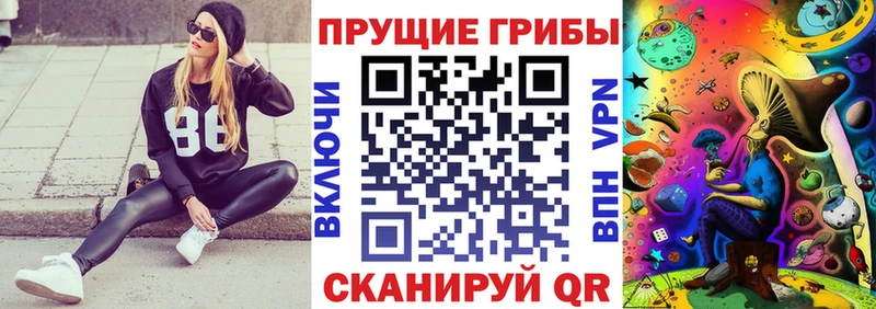 Галлюциногенные грибы Psilocybine cubensis  Купить  Великий Устюг 